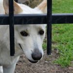 Be Safe With These Cool Home Security Tips Be Safe With These Cool Home Security Tips