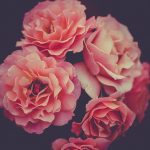 Think Your Iphone Is Just A Phone? Think Again!