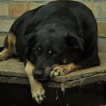 Keep Your Home Safe And Secure With These Tips