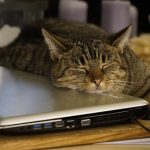 Are You Seeking Information About Laptops? Then Check Out These Great Tips! Are You Seeking Information About Laptops? Then Check Out These Great Tips!