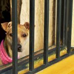 Cool Home Security Advice That Everyone Should Hear Cool Home Security Advice That Everyone Should Hear