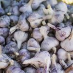 Great Tips On How To Beef Up Your Home Security