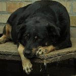 Keep Safe With These Helpful Tips