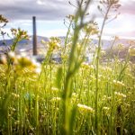 Using Solar Energy As A Viable Resource