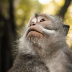 Simple Benefits Of Having An Iphone By Your Side