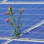 Solar Energy Tips You Can Use In Your Home Today