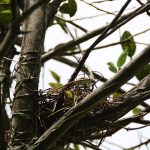 Your Home Is Your Castle – Keep It Safe